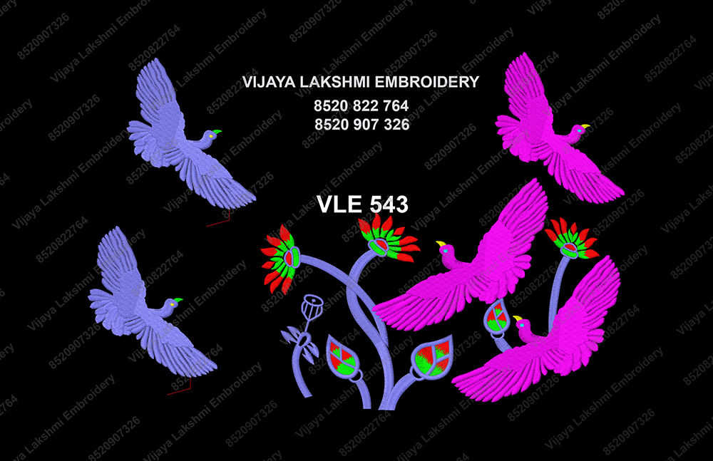 VLE 543